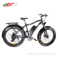 48v Fat Tyre Electric Bike